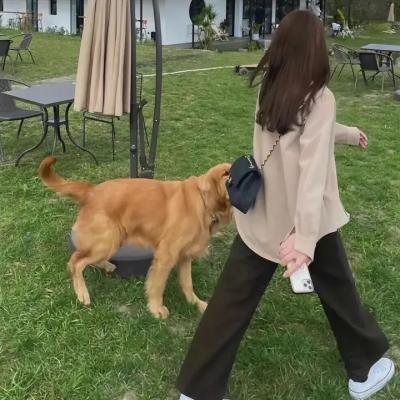 我独自生活